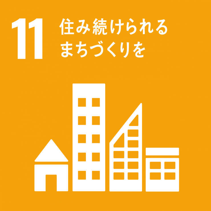 SDGsicon11