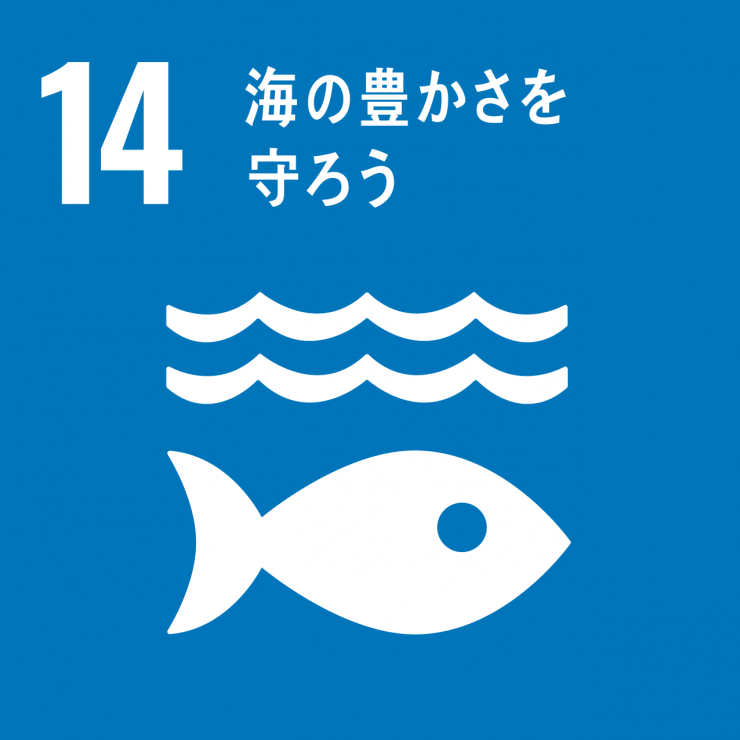 SDGsicon14
