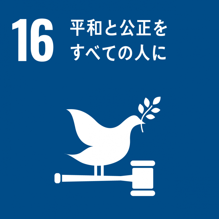SDGsicon16