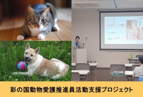 プロジェクト画像