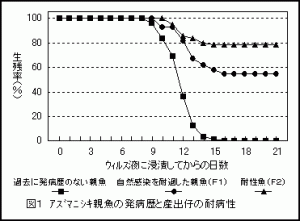 アズマニシキ親魚の発病歴と産出仔の耐病性の関係を表した折れ線グラフ