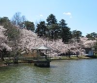 大宮公園の舟遊池写真