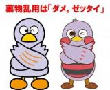 ダメ絶対