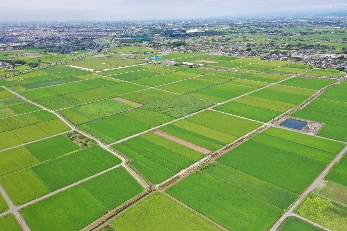 大区画に整備されたほ場