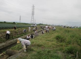 水路の除草