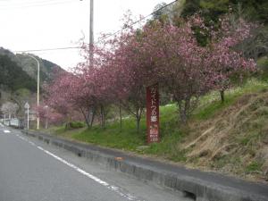 カイドウ街道全景