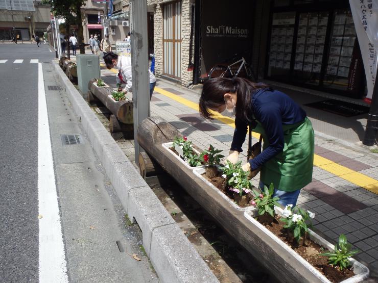 令和5年度草加市栄町中央町会園芸クラブ