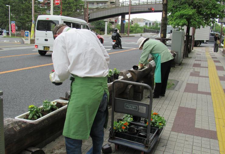 soukashisakae