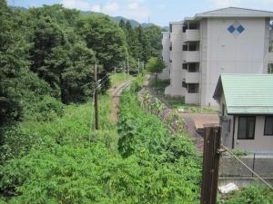 白川橋から見た秩父線線路（終点）