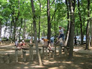 農林公園の遊具