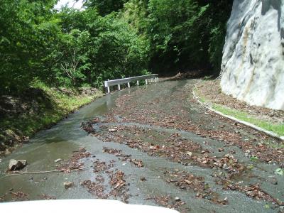 森林管理道の路面に砂利が堆積している写真です