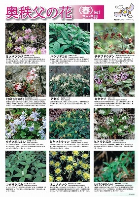 奥秩父の春の花の一覧パネル