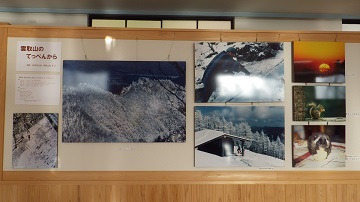 雲取山の自然（冬）