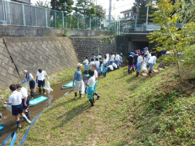 柳瀬川写真