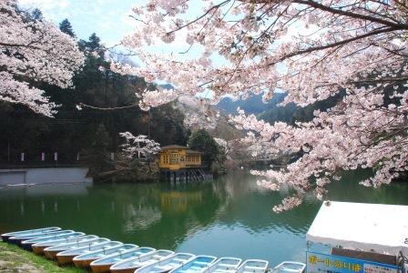 鎌北湖の写真です。