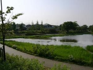 吉川市吉川中央地区