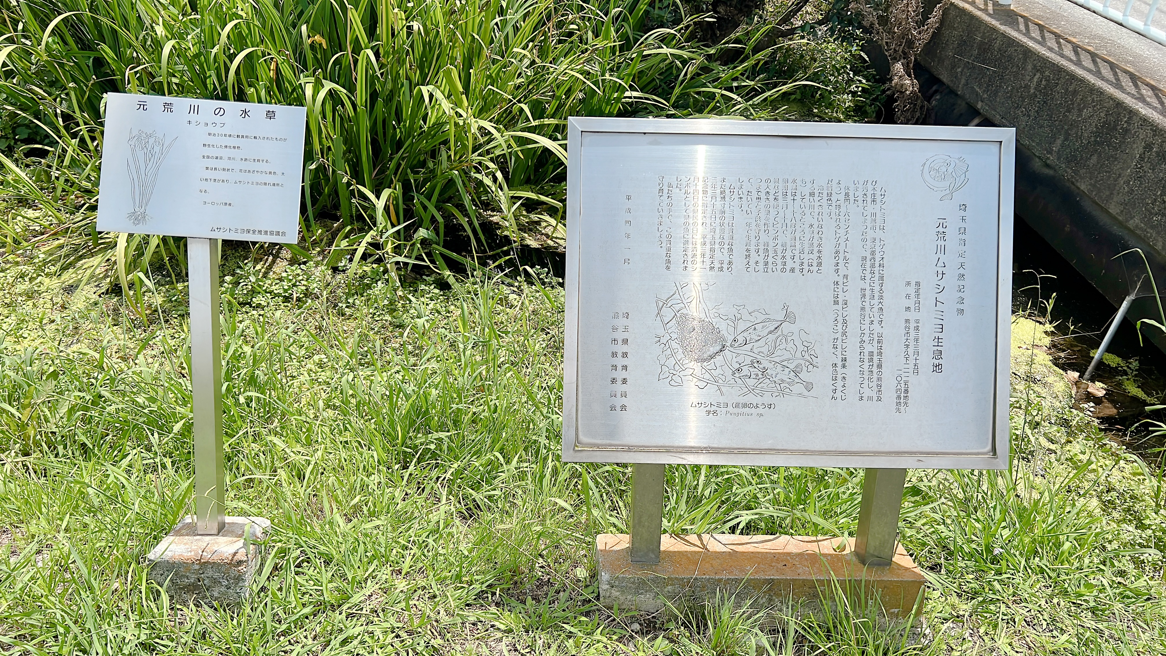 生息域