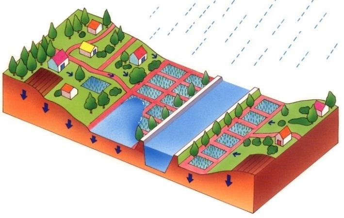 開発前の様子