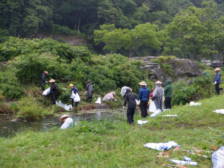 岩畳周辺で草木を刈っている様子