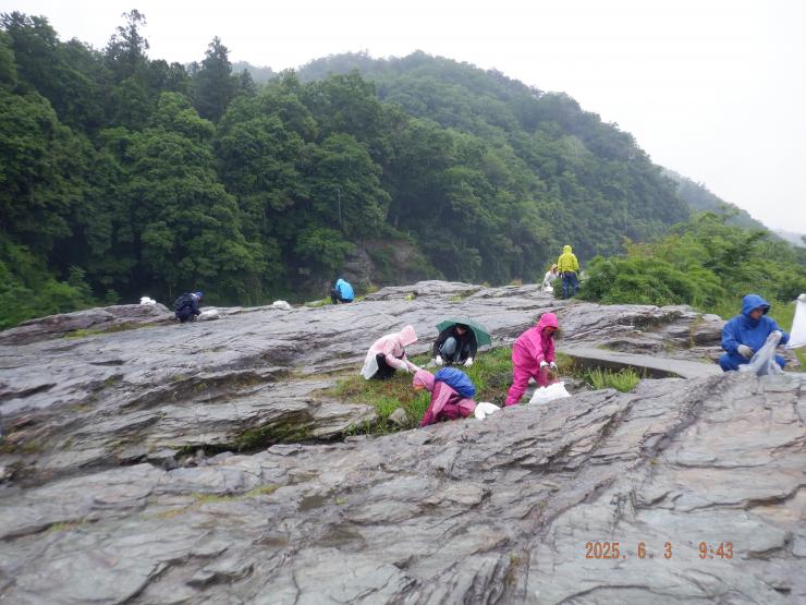 岩畳の上で雑草を刈っている様子
