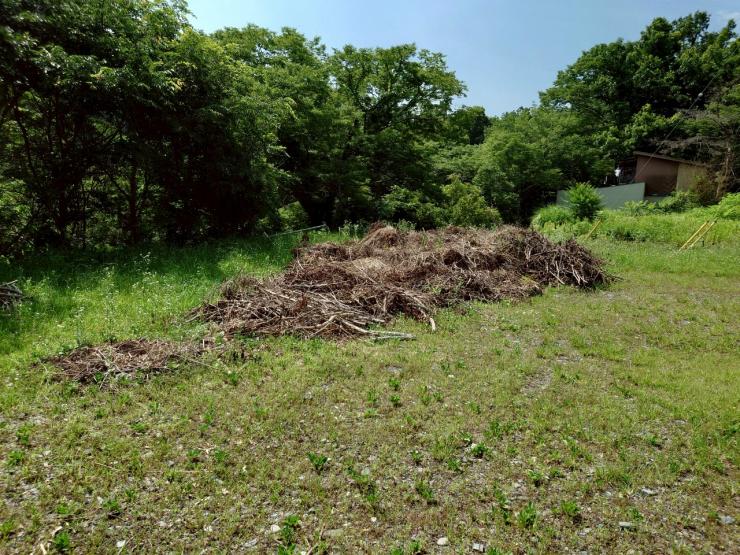 伐採した雑草・枝木