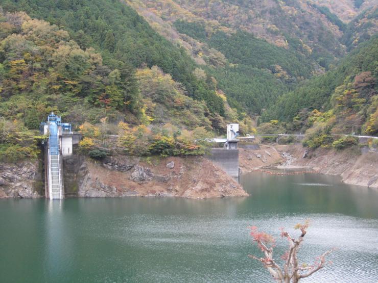 11月18日ダム貯水状況2