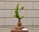 6月15日生け花の写真