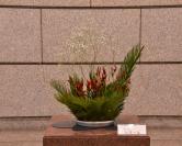 8月31日生け花写真