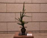 9月28日生け花の写真