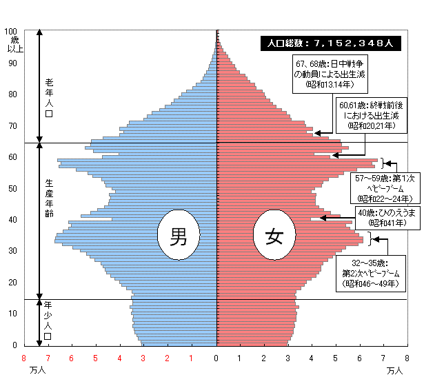 人口ピラミッド（平成19年1月1日現在）