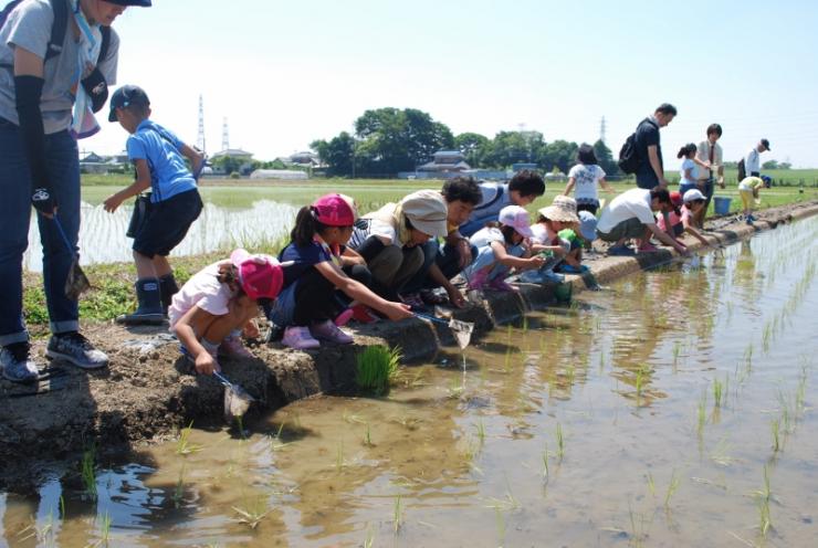 生き物観察