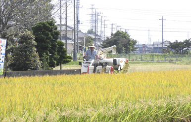 写真：杉戸町2