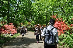 ハイキングのお客様でにぎわう美の山公園