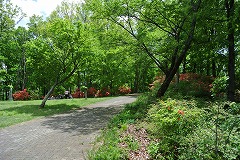 園内でお弁当を食べる様子