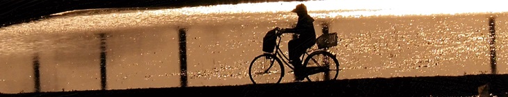 フォトコンテスト作品,富士見市,荒川土手道