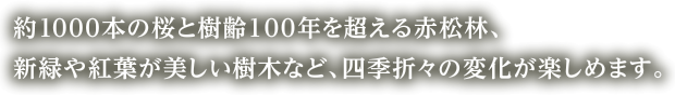 約1000本の桜と樹齢100年を超える赤松林、新緑や紅葉が美しい樹木など、四季折々の変化が楽しめます。