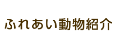 ふれあい動物紹介