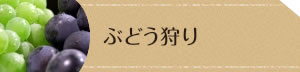ぶどう狩り